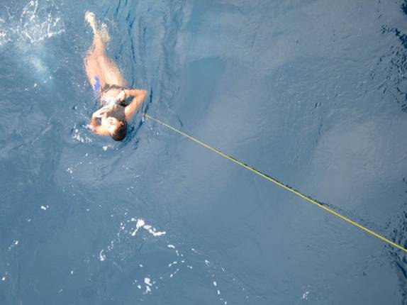 A Kim ainda consegue relaxar nas águas geladas de Brown Bluff, na Antártida